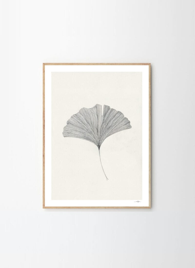 Ginkgo Leaf