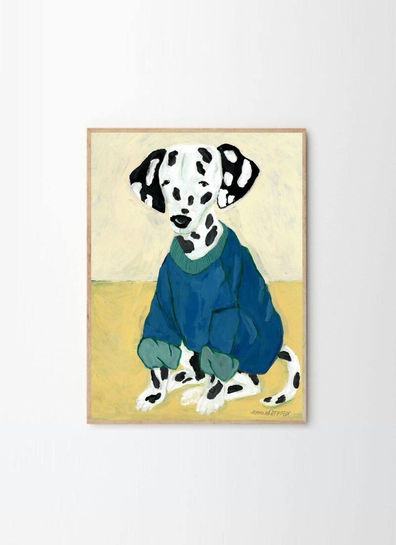 Dalmatian in Sweatshirt